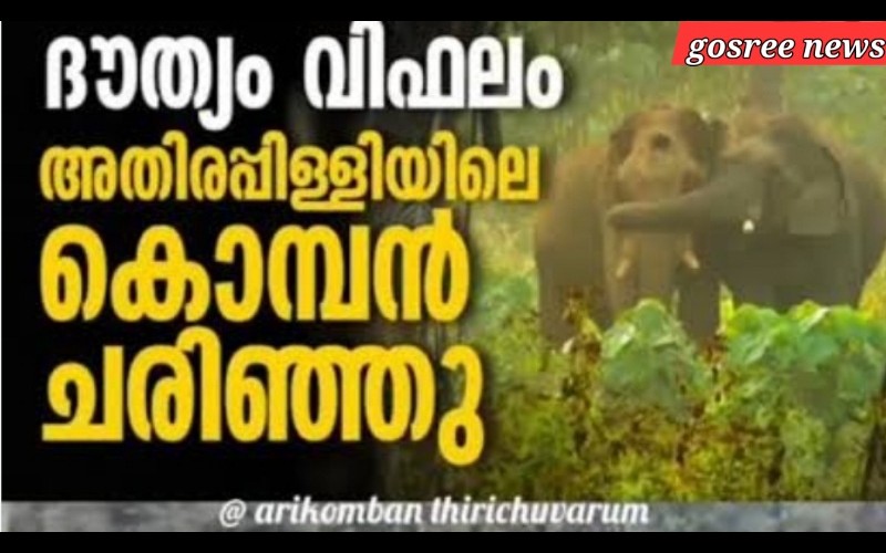nctv image