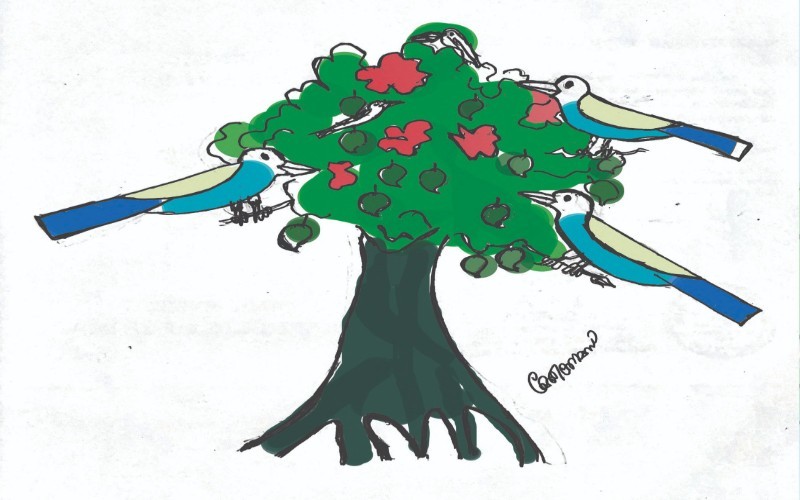nctv image