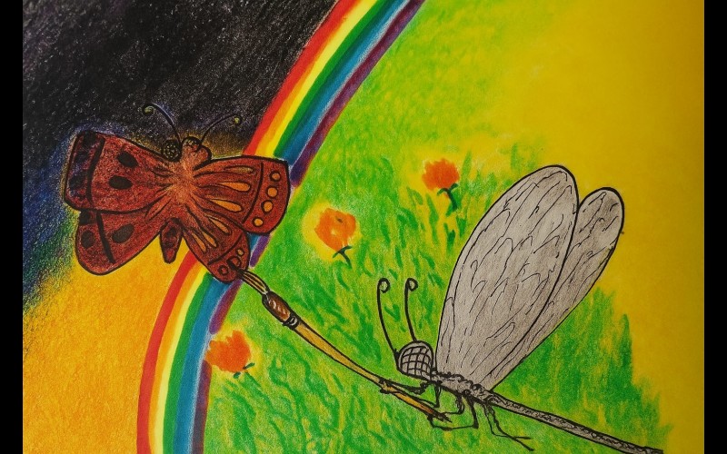 nctv image